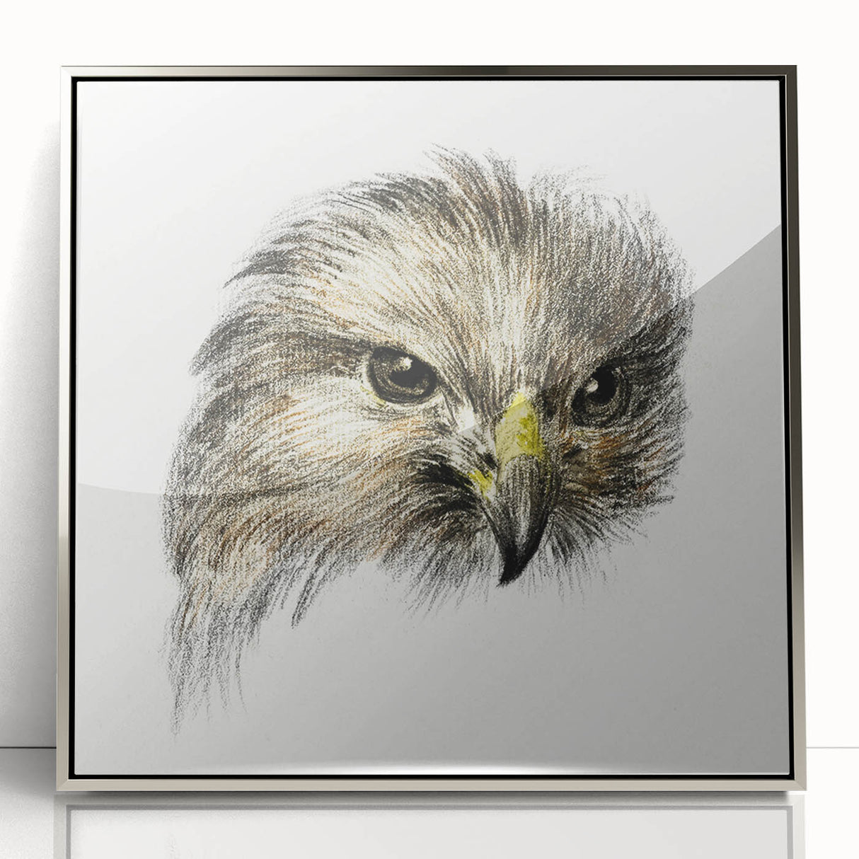 Head of a Bird of Prey by Jean Bernard - Romantic Wildlife Art Print