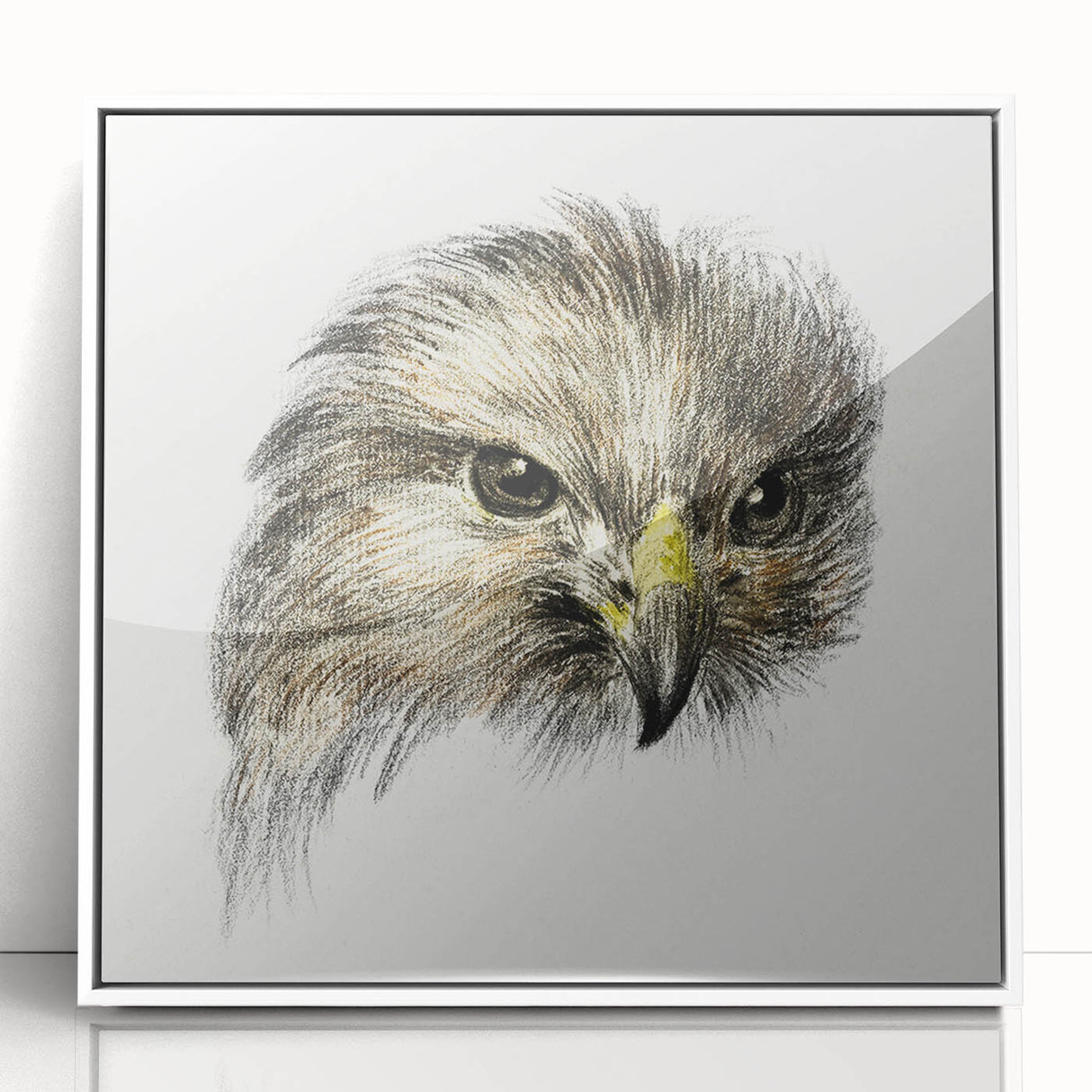 Head of a Bird of Prey by Jean Bernard - Romantic Wildlife Art Print