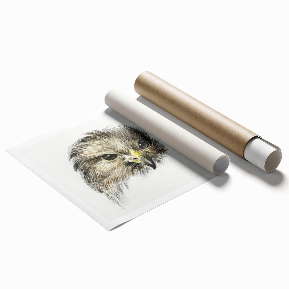 Head of a Bird of Prey by Jean Bernard - Romantic Wildlife Art Print