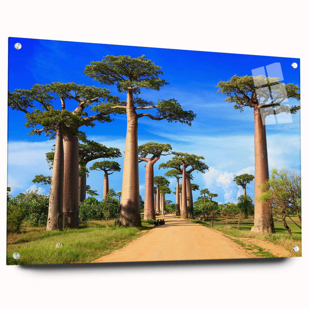 Large abstract wall art of Madagascar scenery on acrylic glass, featuring earthy tones, ideal for dining room decor.