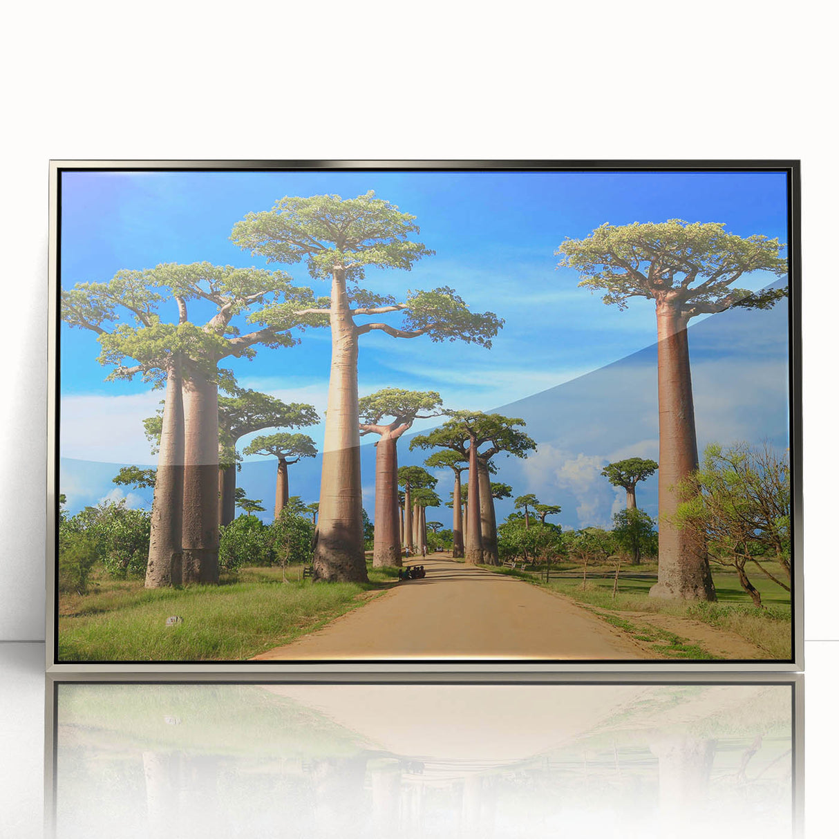 Acrylic print of a Madagascar landscape in art deco style, featuring silver frame, ideal for modern art wall decor.