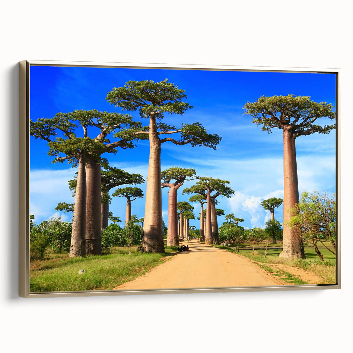 Landscape art painting of Madagascar scenery on framed canvas, featuring colorful art with black and vintage poster elements.