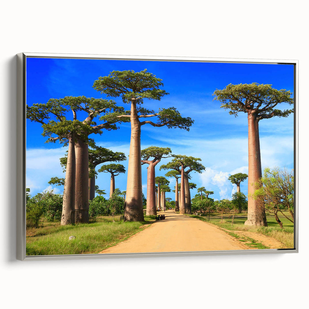Vintage poster art of Madagascar scenery on a framed canvas, featuring vibrant colors, ideal for living room decor.