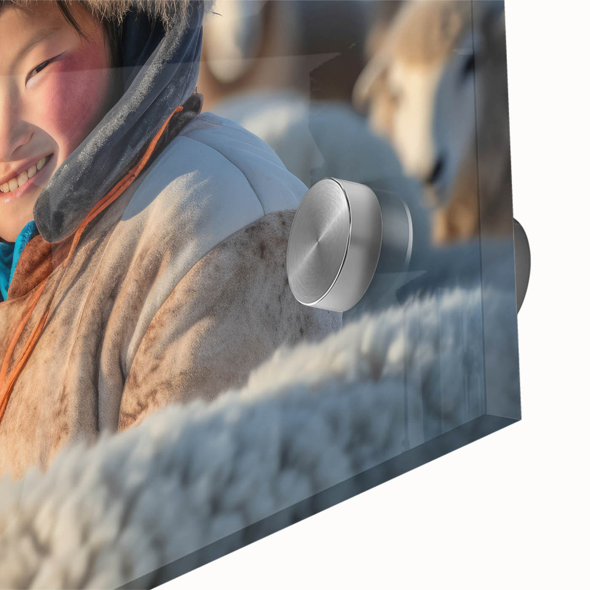 Large abstract wall art featuring a Mongolian landscape in muted earth tones on acrylic glass.