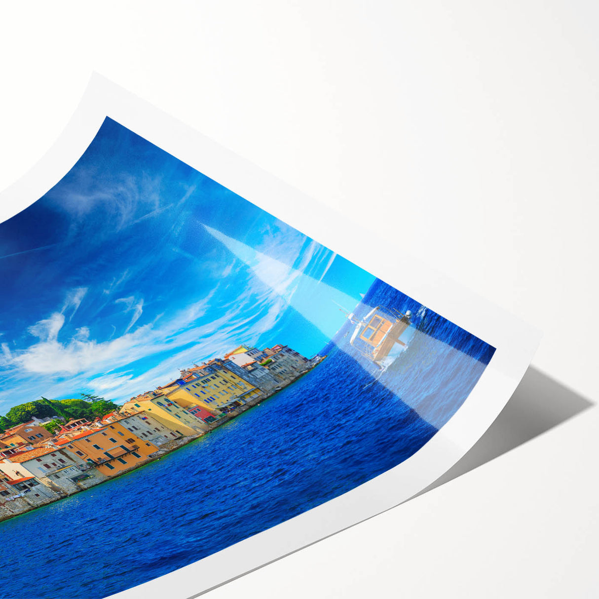 Extra large rolled print of line art flowers in black and white, ideal for large living room wall art.