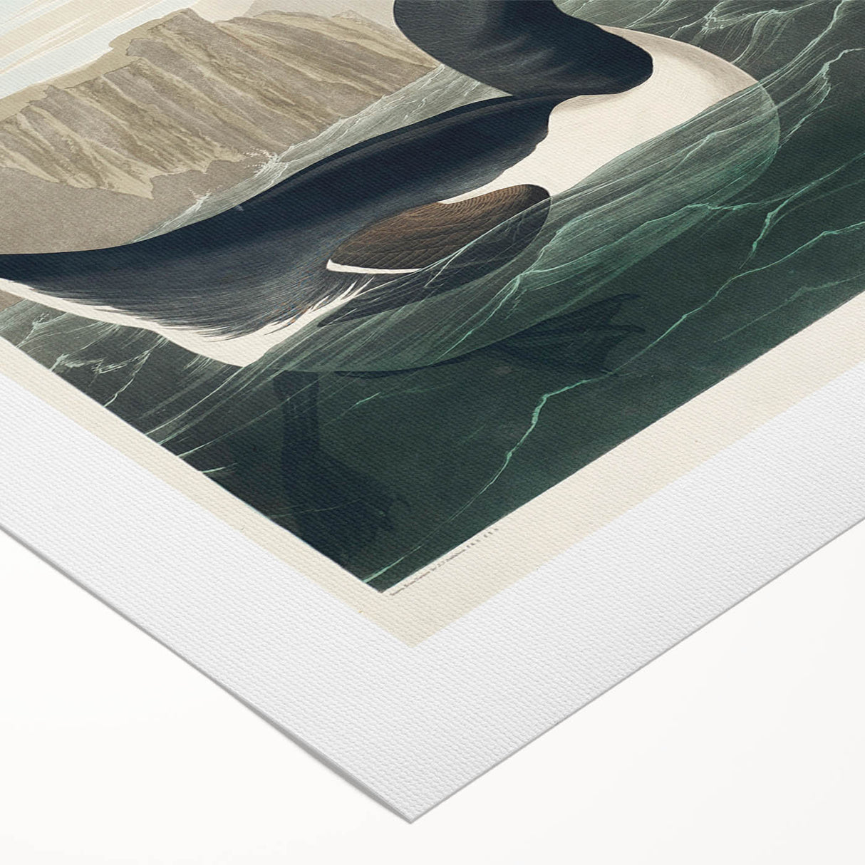 Romanticism Art: "Great Auk" by John James Audubon