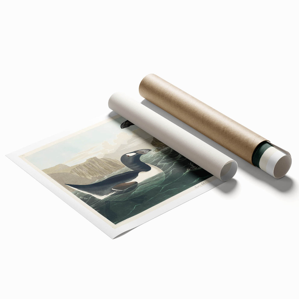 Romanticism Art: "Great Auk" by John James Audubon