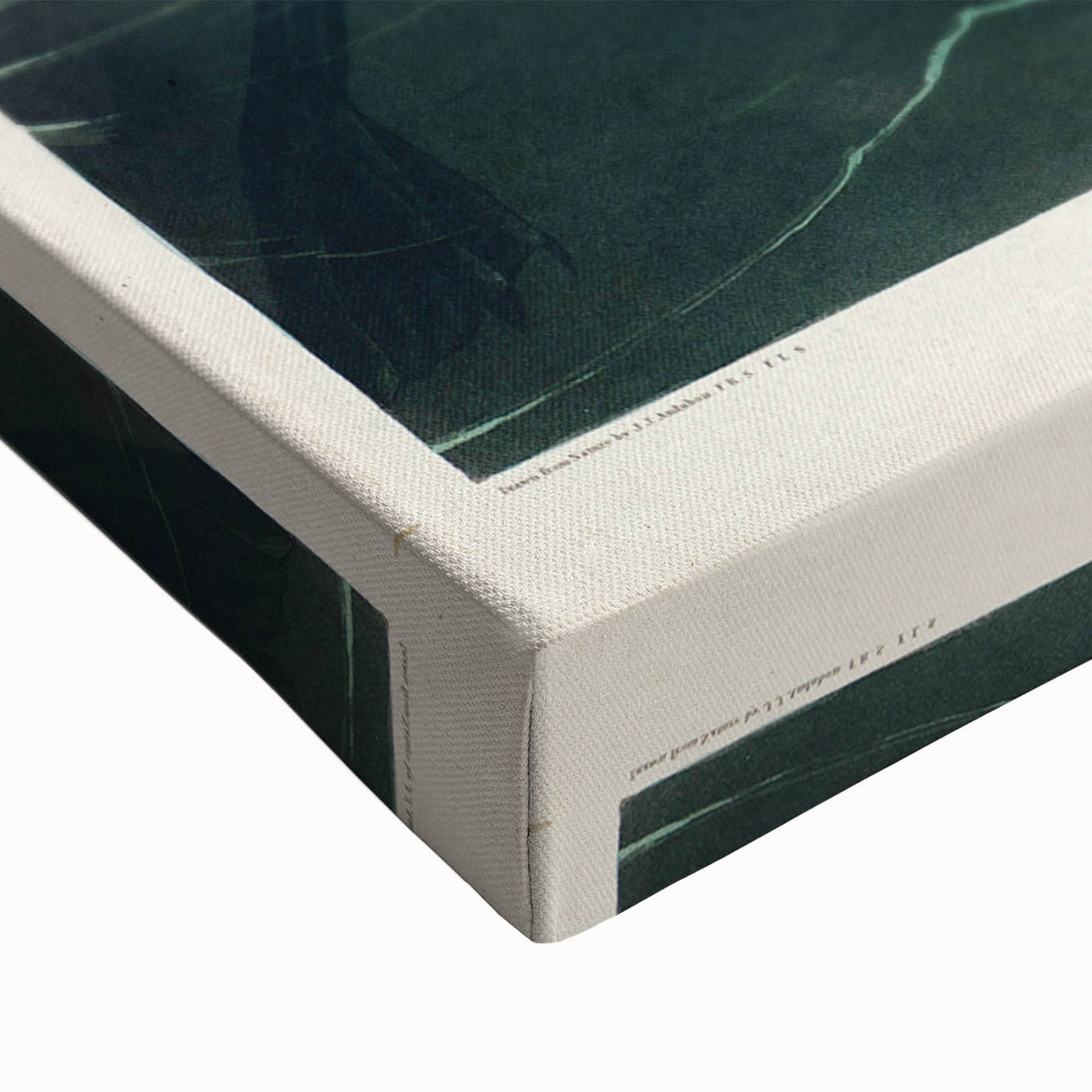 Romanticism Art: "Great Auk" by John James Audubon