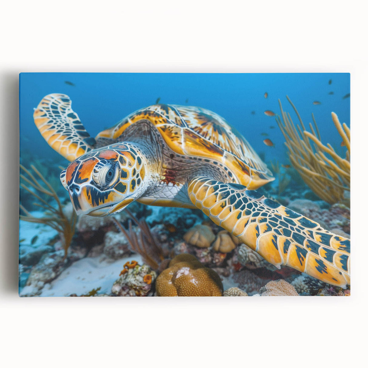 Black and white stretched canvas featuring a serene Seychelles beach scenery, ideal for kitchen wall art or bedroom ambiance.