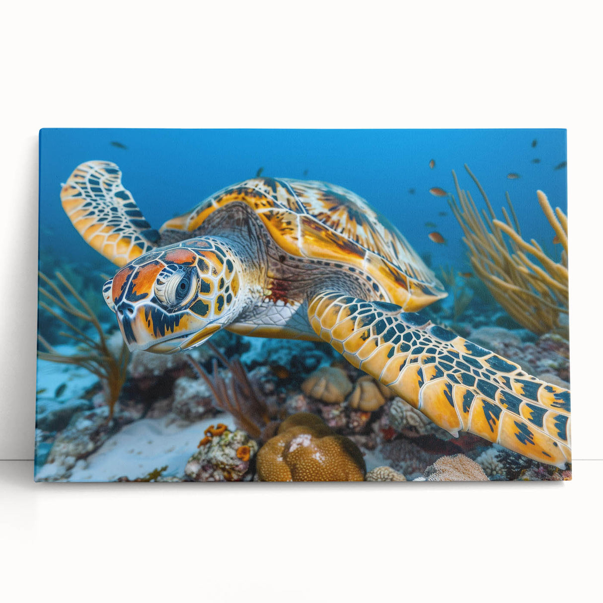 Black and white photo of Seychelles landscape on large stretched canvas, ideal for kitchen art.