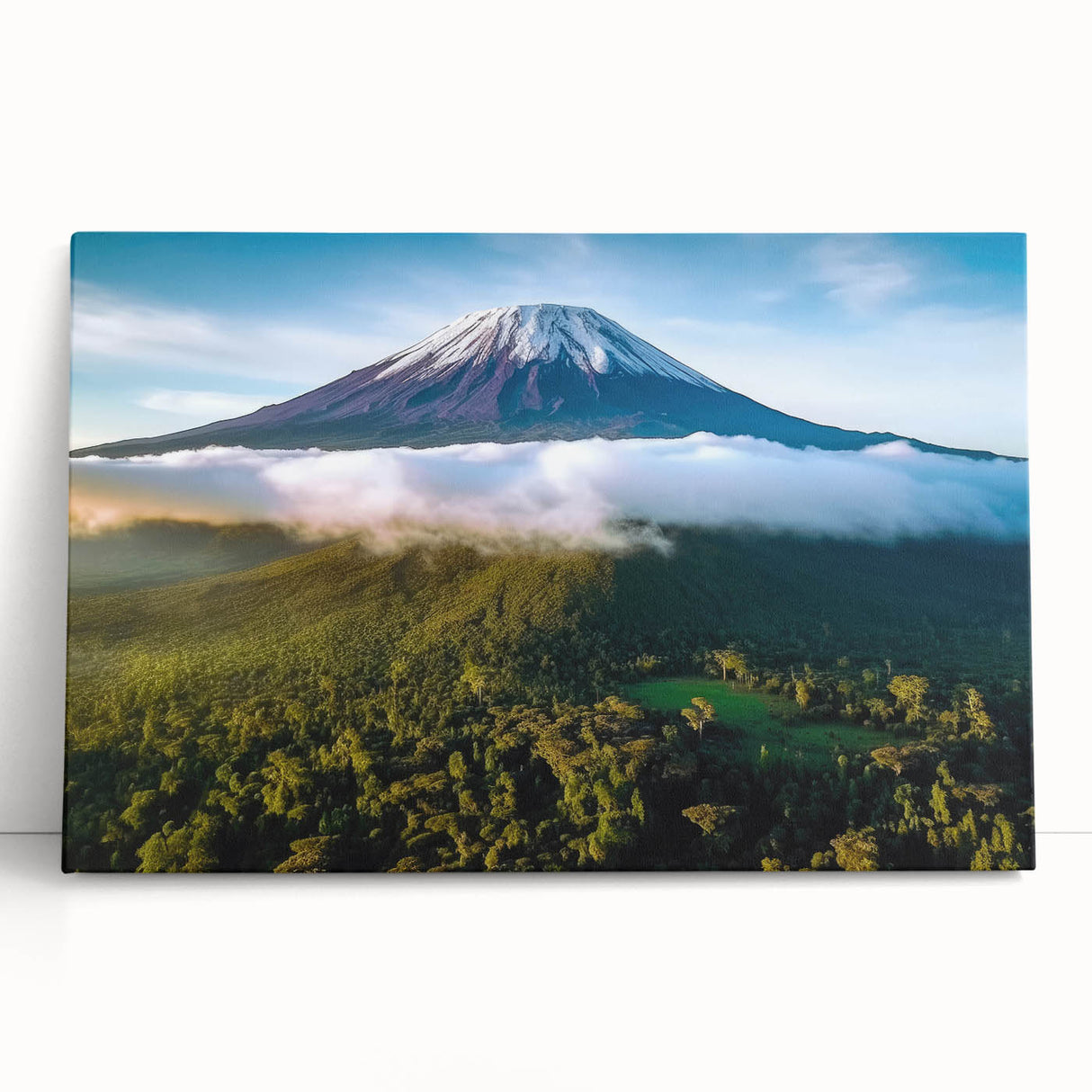 Large black and white canvas print of an African savannah, ideal for kitchen wall art.