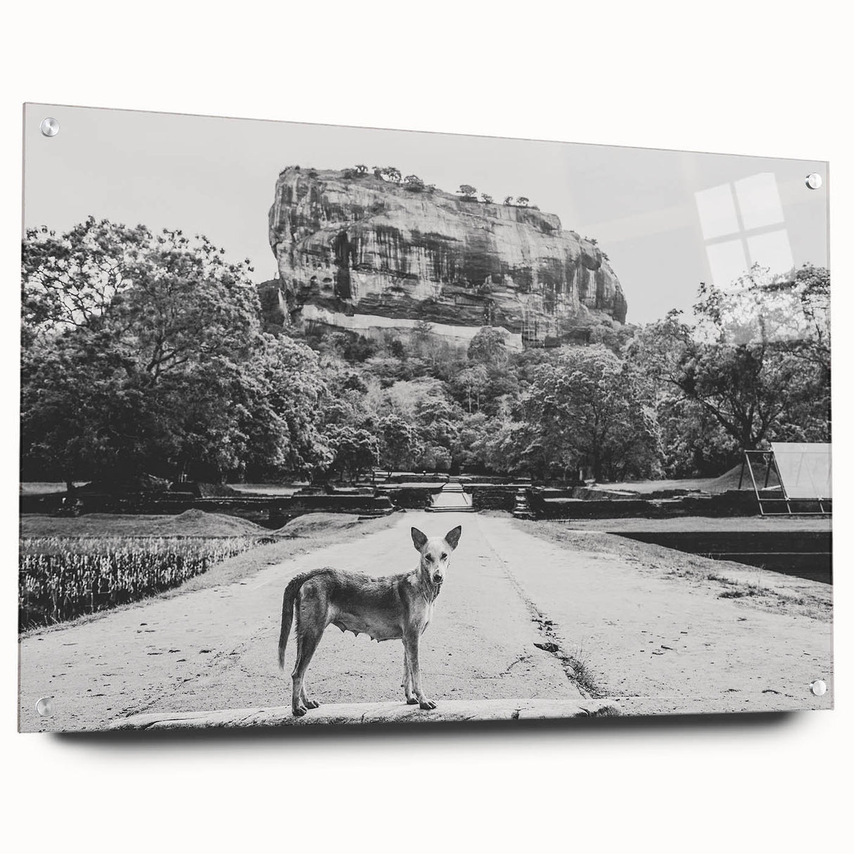 Acrylic print of a large abstract depiction of a Sri Lankan landscape, featuring vibrant green and blue tones.