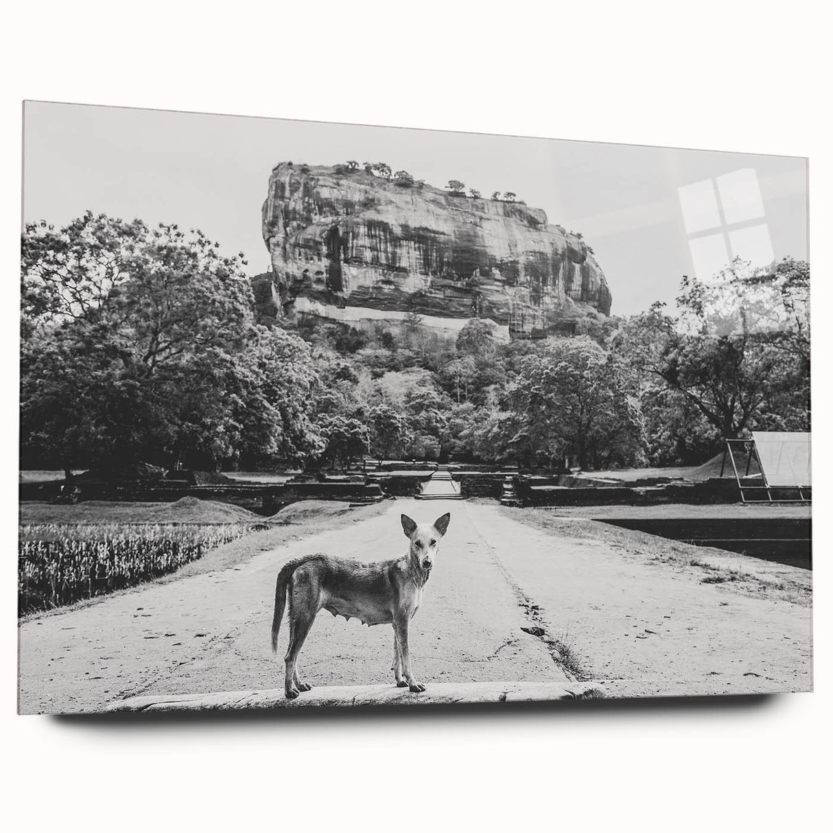 Large abstract wall art depicting a serene Sri Lankan landscape in muted green and blue tones.