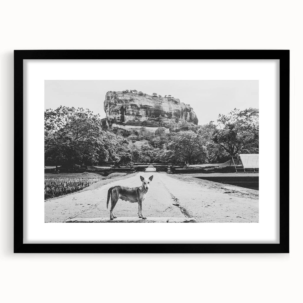 Extra large framed abstract art print featuring a vibrant, textured depiction of a Sri Lankan scenery.