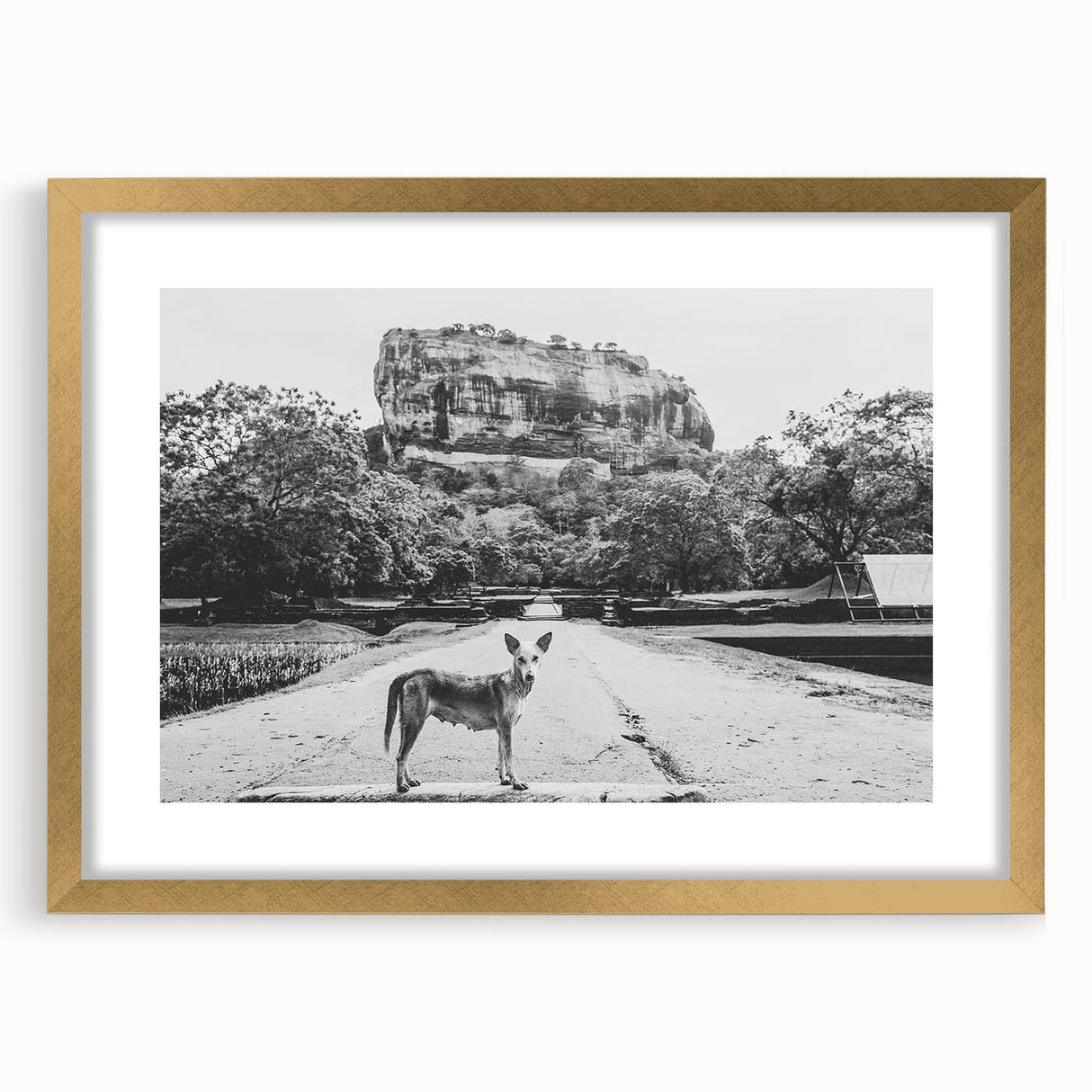 Extra large wall art featuring an abstract textured print of a Sri Lankan scenery in a gold frame.