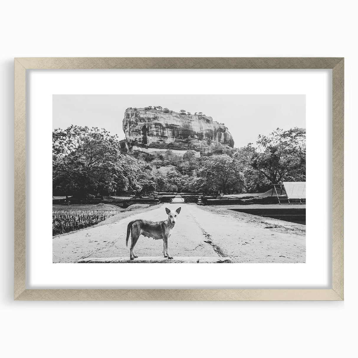 Textured abstract art print of Sri Lankan scenery in silver frame, with muted earth tones, ideal for bedroom art.