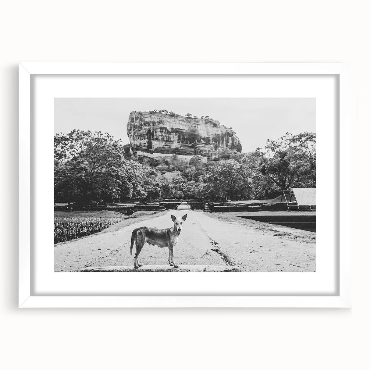 Abstract art print of a Sri Lankan landscape in muted green and blue tones on a framed white mat.