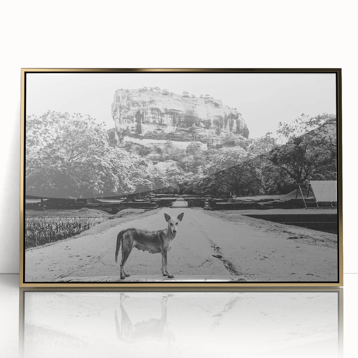 Framed acrylic print of a Sri Lankan landscape in gold tones, ideal for modern art wall decor.