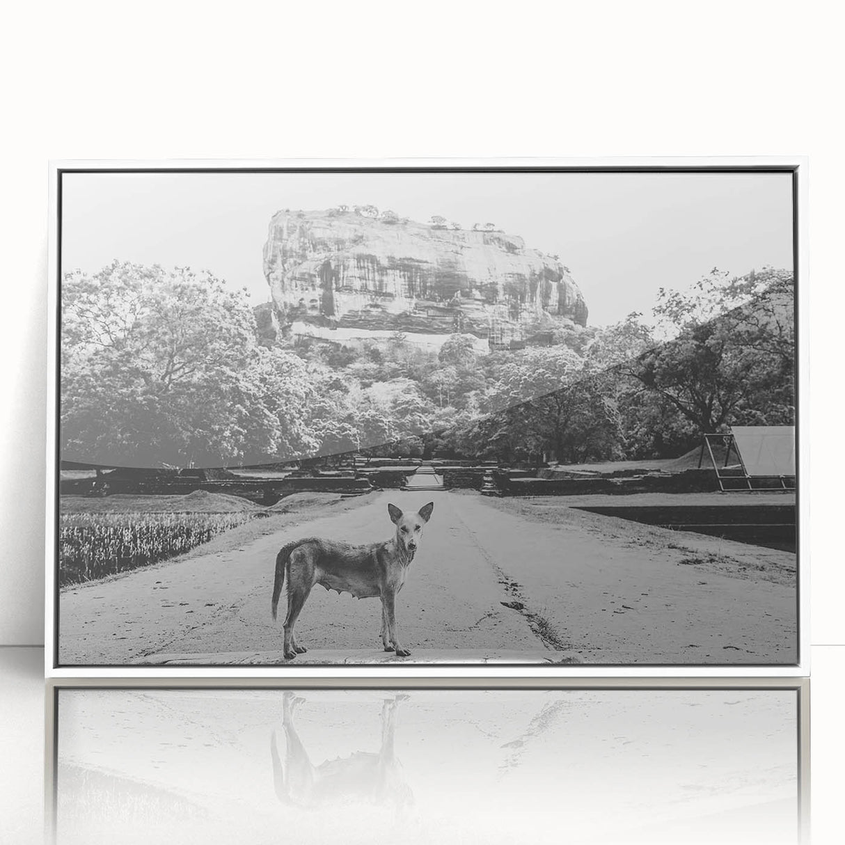 Framed acrylic print of a serene Sri Lankan landscape in soft green and blue tones, ideal for modern art wall decor.