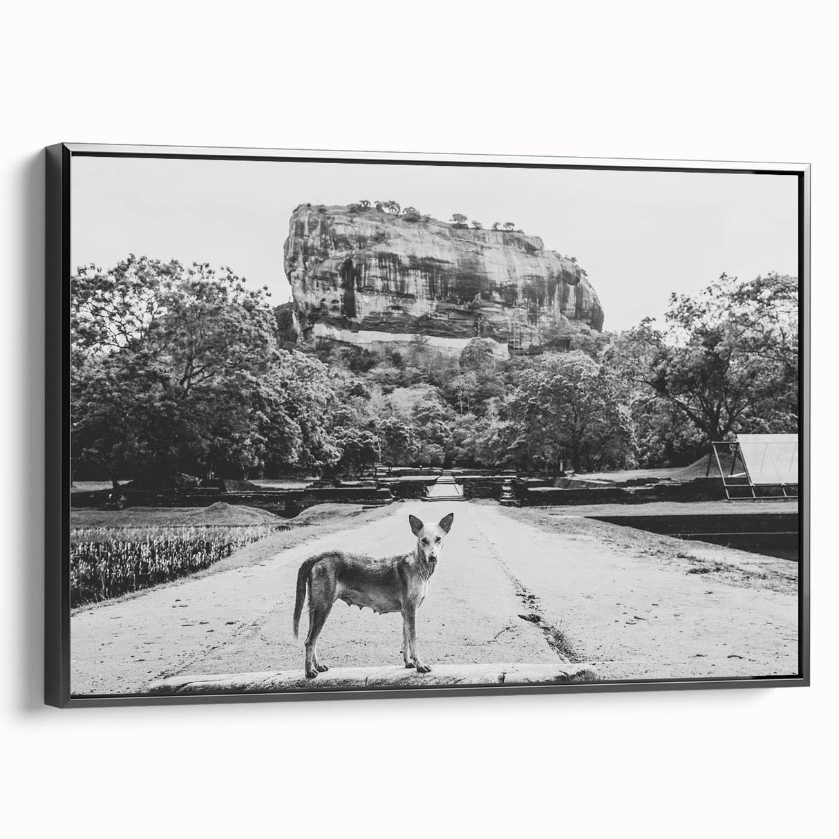 Black and white framed canvas of a Sri Lankan landscape, ideal for bedroom decor.