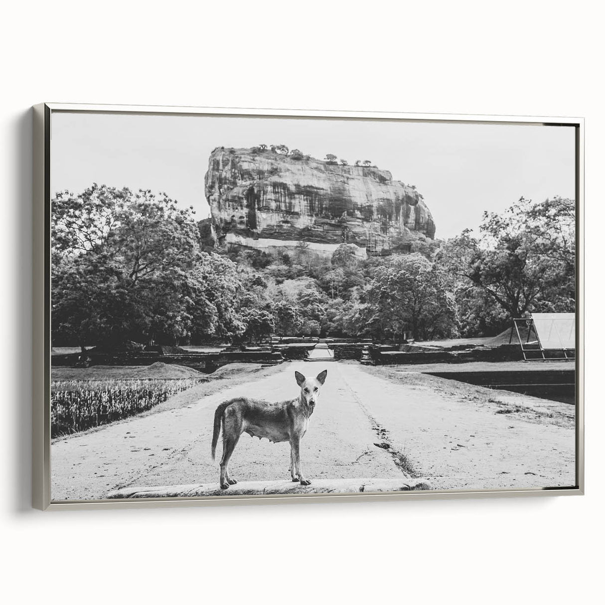 Landscape art painting of a Sri Lankan scenery on framed canvas, featuring colorful art with black and silver tones.