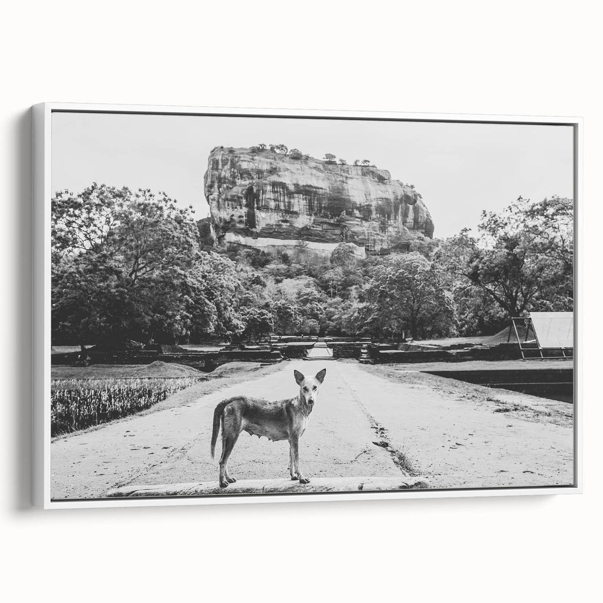 Vintage poster art of a scenic Sri Lankan landscape on a framed canvas, featuring vibrant colors.