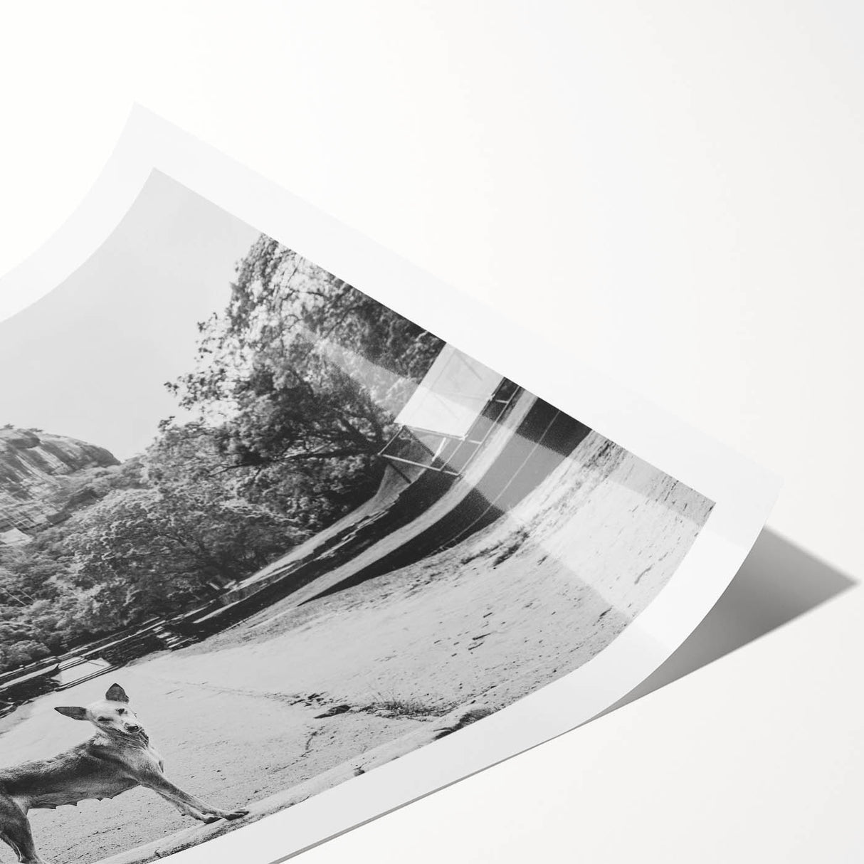 Extra large wall art featuring line art flowers in muted tones on rolled canvas, suitable for large living room decor.