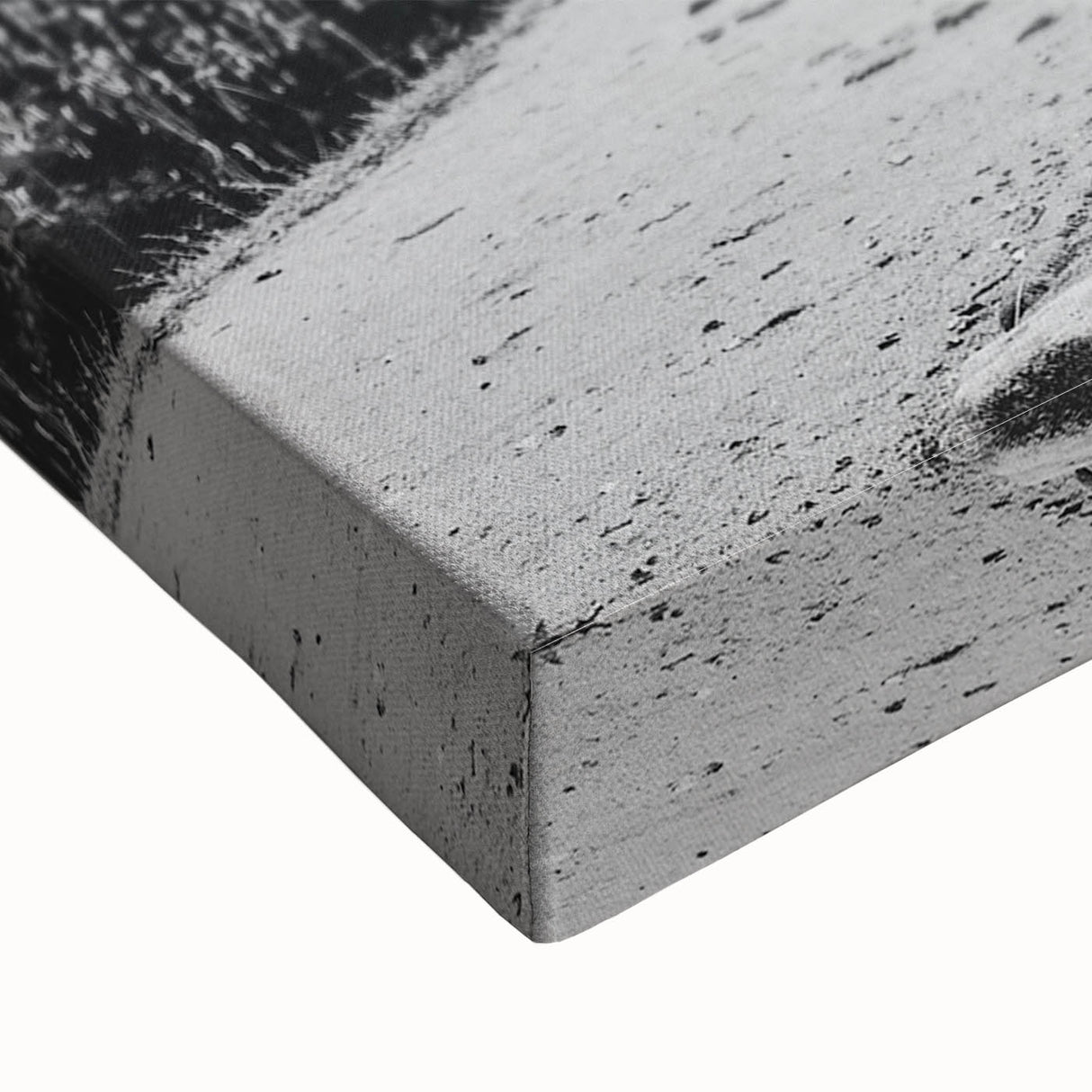 Large art of a Sri Lankan landscape in black and white on stretched canvas, suitable for bedroom wall decor.