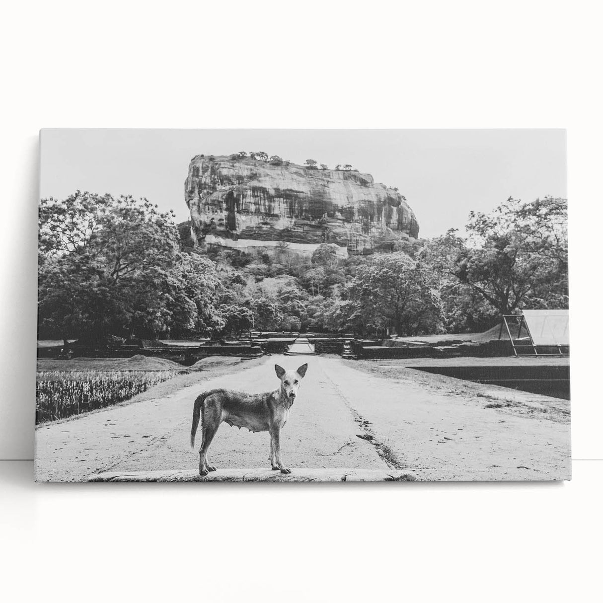 Black and white large canvas print of a serene Sri Lankan landscape, ideal for kitchen wall art or bedroom ambiance.