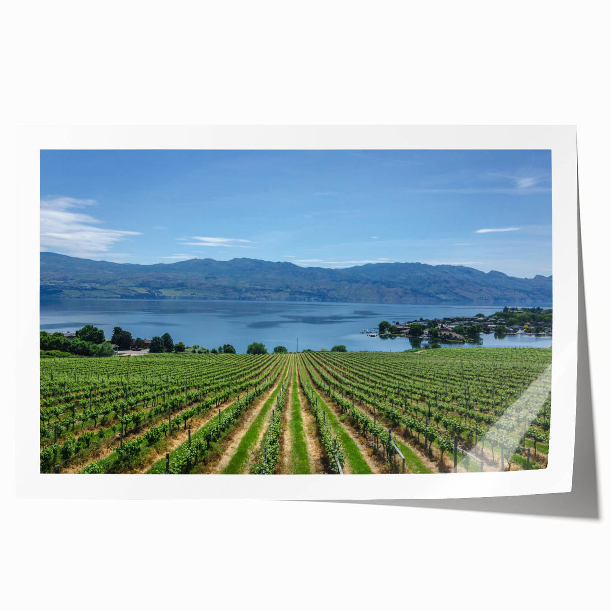 Rolled print of British Columbia scenery with lush greenery and mountains, ideal for art wall dining room.