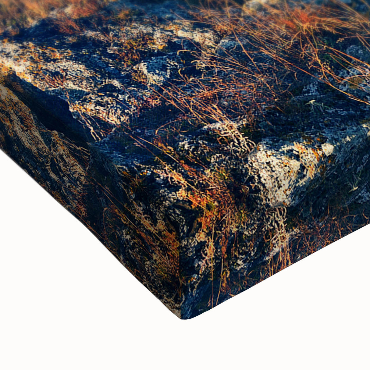 Large art of a black and white landscape painting on stretched canvas, depicting a serene Ukrainian scenery.