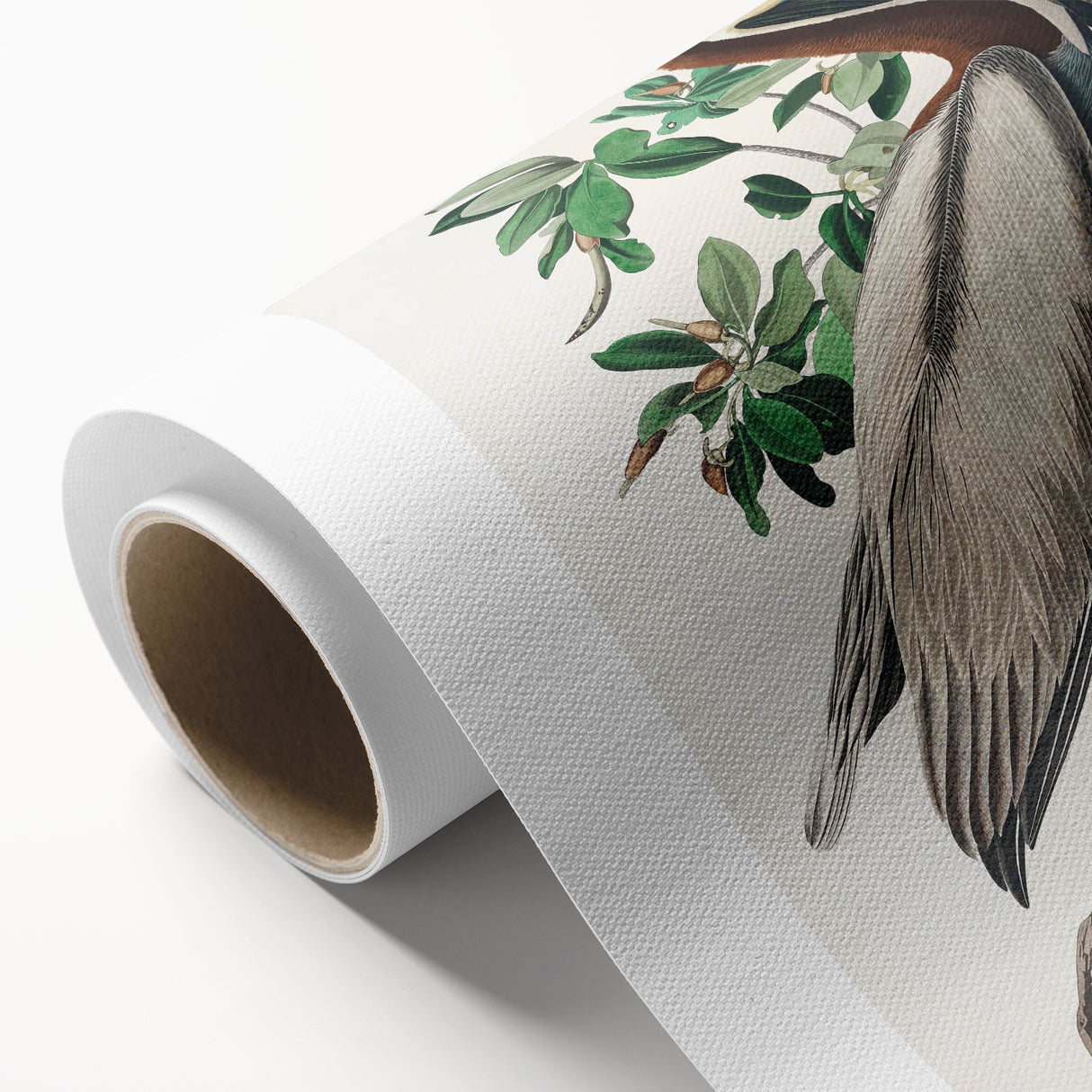 Famous Romantic Era Art: Green Begonia Rex Canvas Print