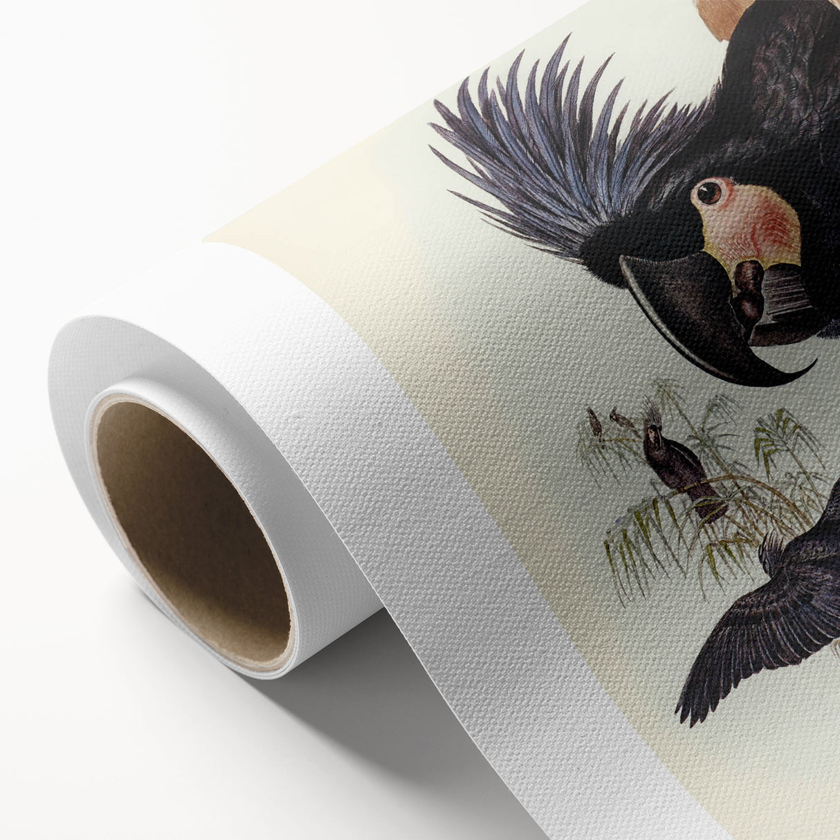 Historical Romanticism Canvas: Ring-necked Pheasant Artwork