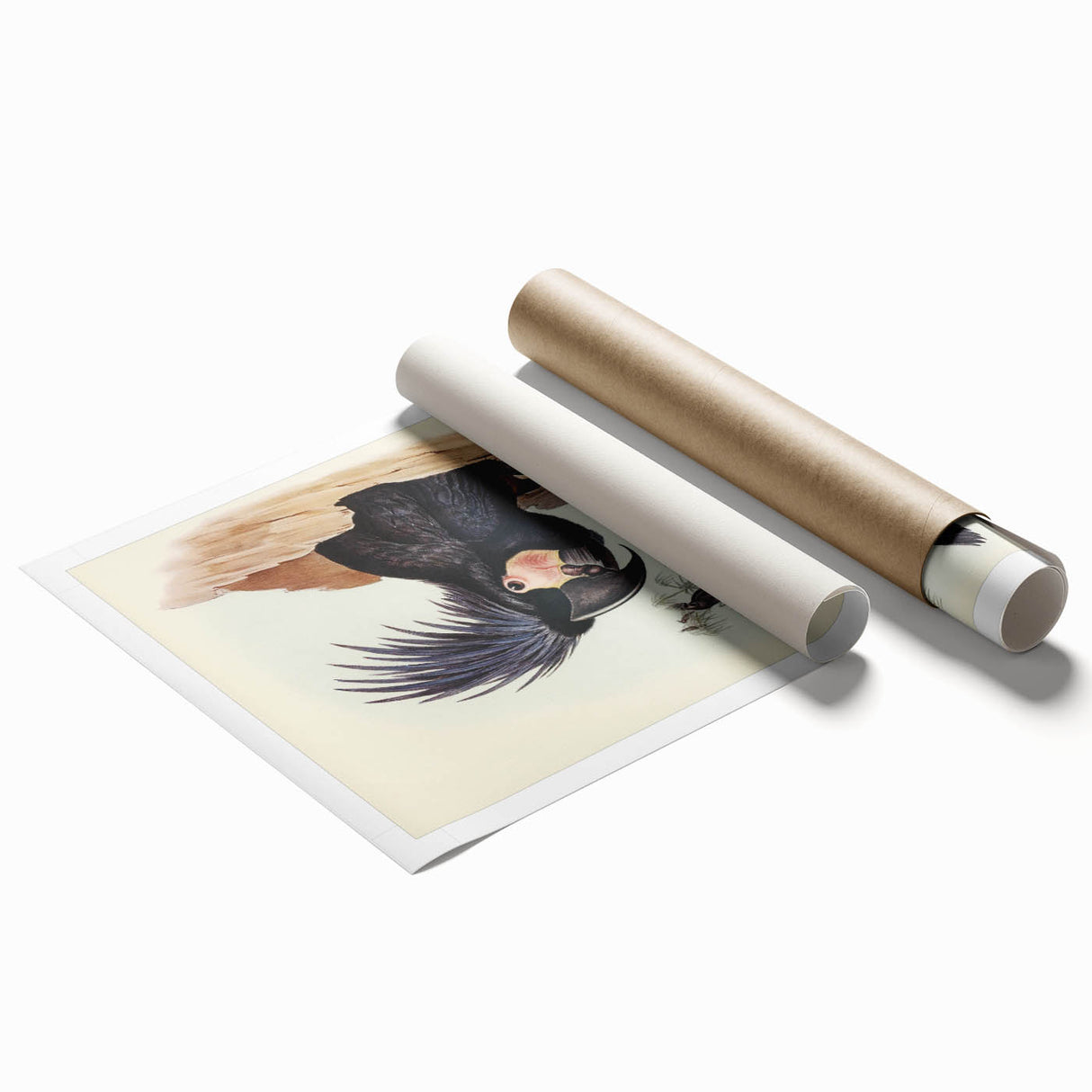 Historical Romanticism Canvas: Ring-necked Pheasant Artwork