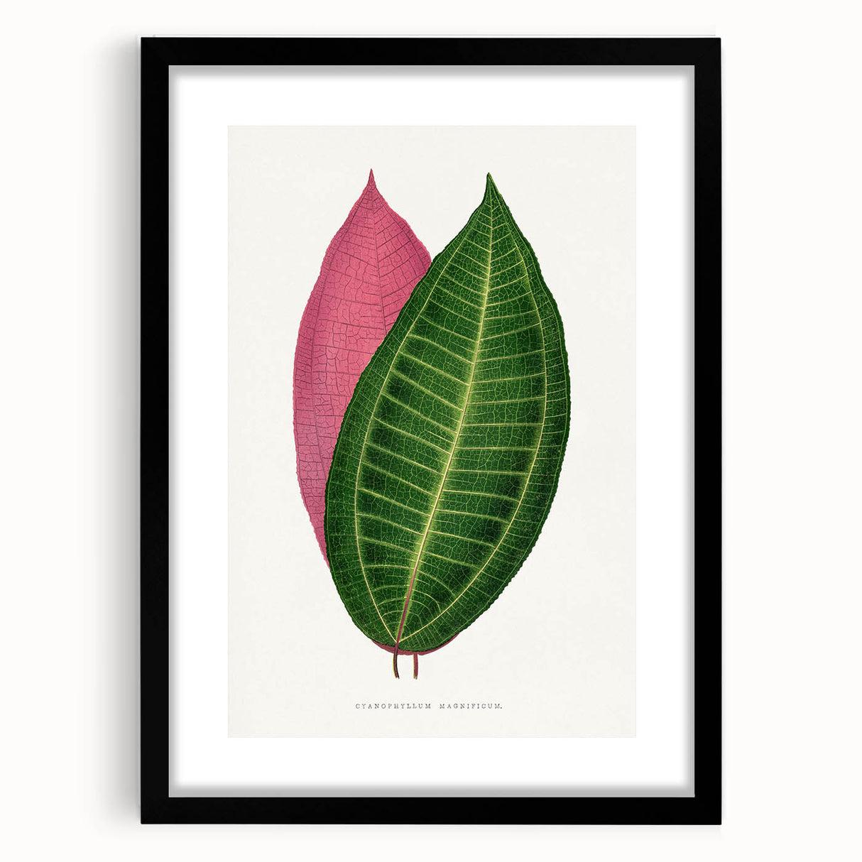 Historical Romanticism Canvas: Henri IV and Marie de’ Medici by Delacroix