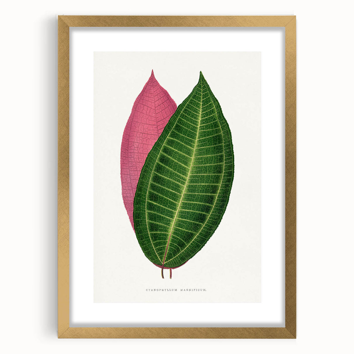 Historical Romanticism Canvas: Henri IV and Marie de’ Medici by Delacroix