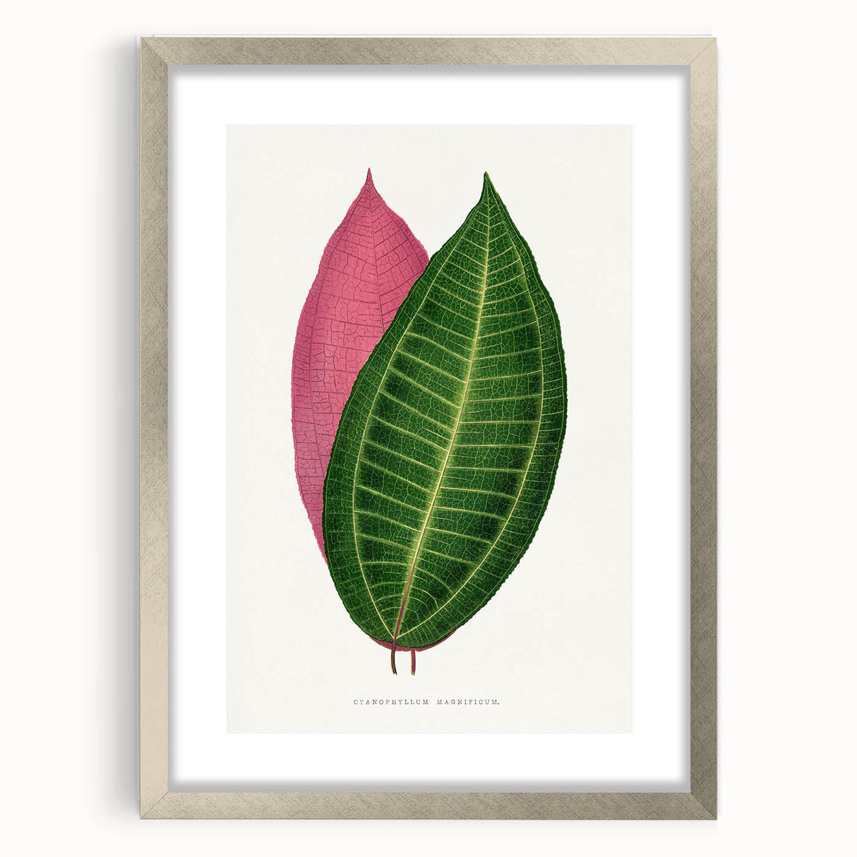 Historical Romanticism Canvas: Henri IV and Marie de’ Medici by Delacroix