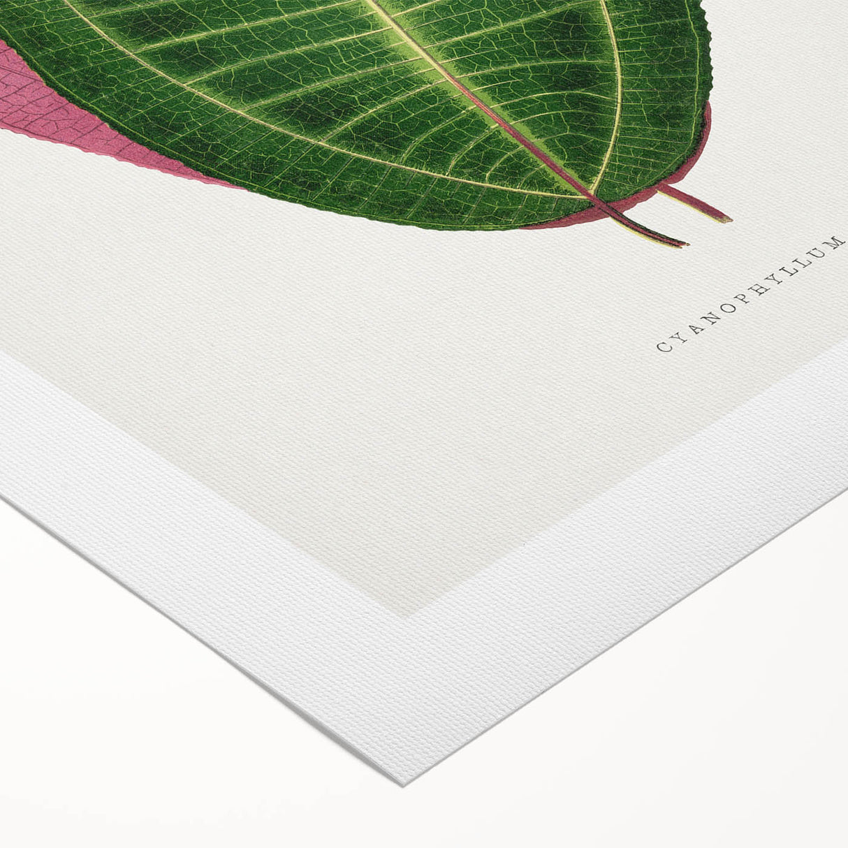 Historical Romanticism Canvas: Henri IV and Marie de’ Medici by Delacroix