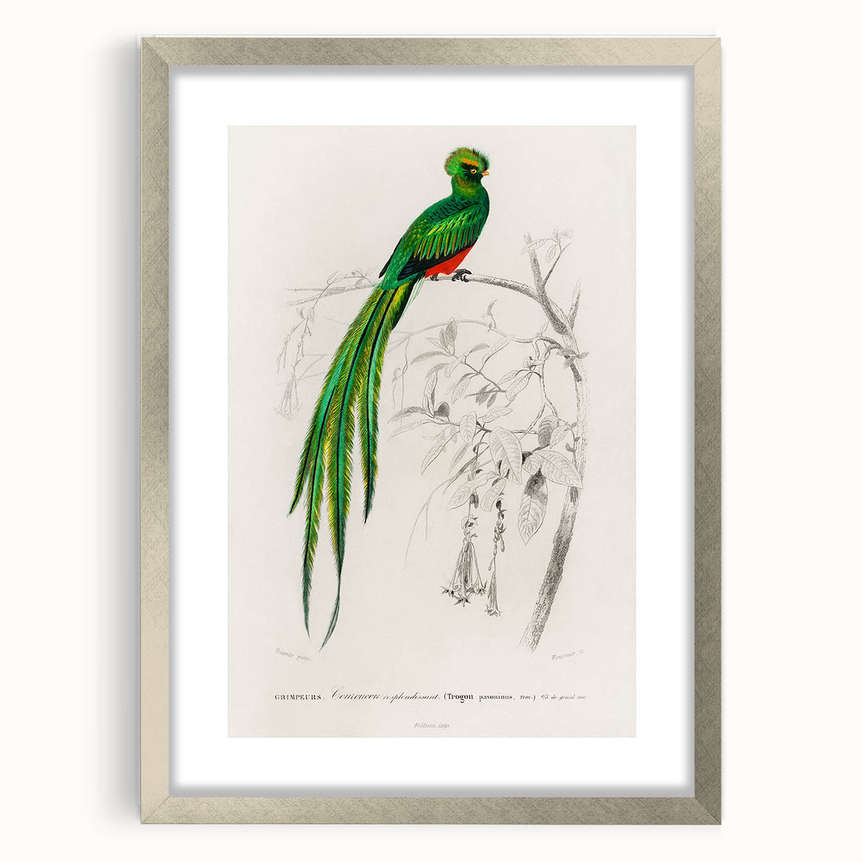 Classic Romantic Paintings: Farmyard Fowls by John James Audubon