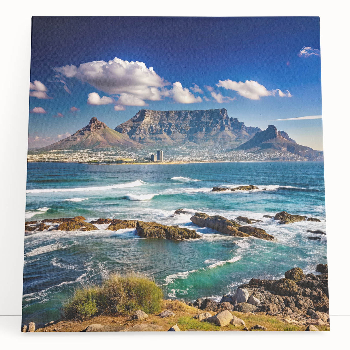 Large black and white stretched canvas of a South African landscape, ideal for kitchen wall art.
