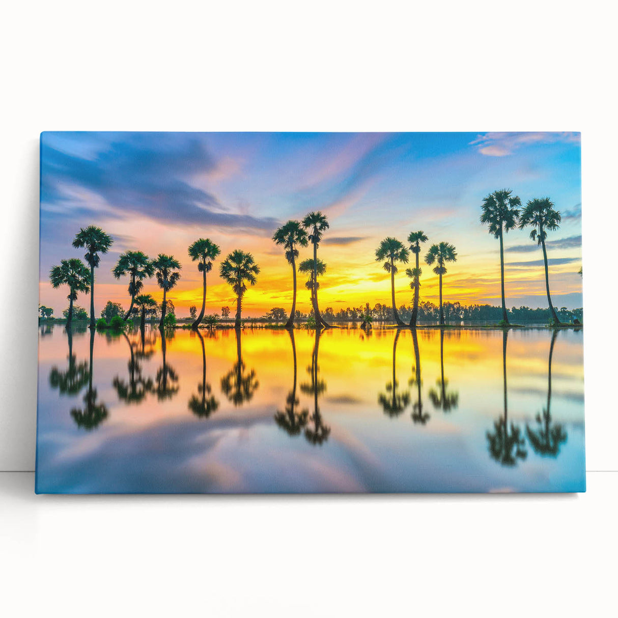 Black and white stretched canvas of a Thai landscape, ideal for kitchen wall art or bedroom decor.