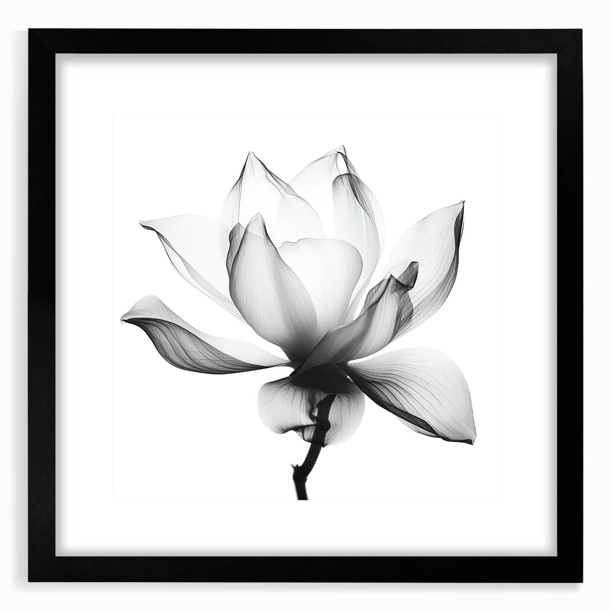 Black-framed abstract floral artwork featuring vibrant colors and intricate designs, ideal for modern home decor and wall enhancement, showcasing artistic elegance.