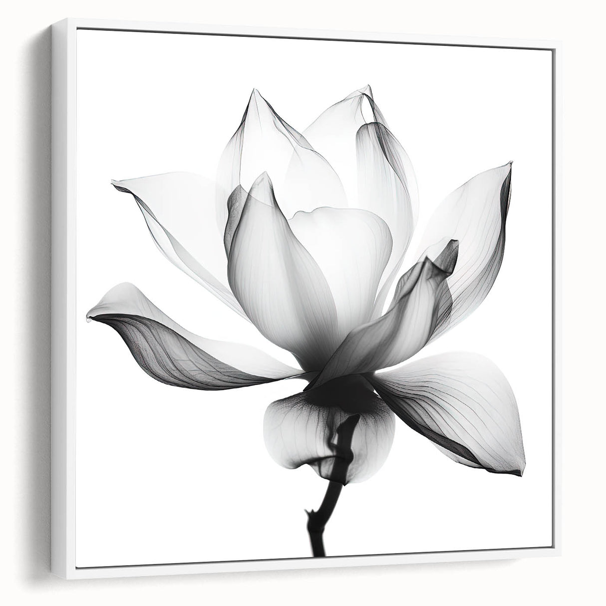 Framed canvas artwork showcasing abstract floral designs in vibrant colors, displayed in a white frame from a side view, perfect for modern home decor.
