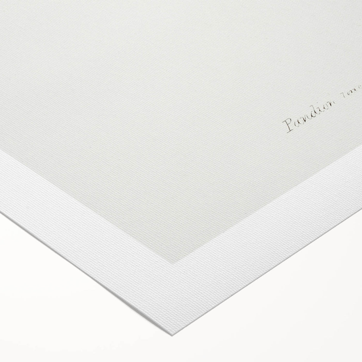 Romanticism Art: White-Headed Osprey Wildlife Illustration