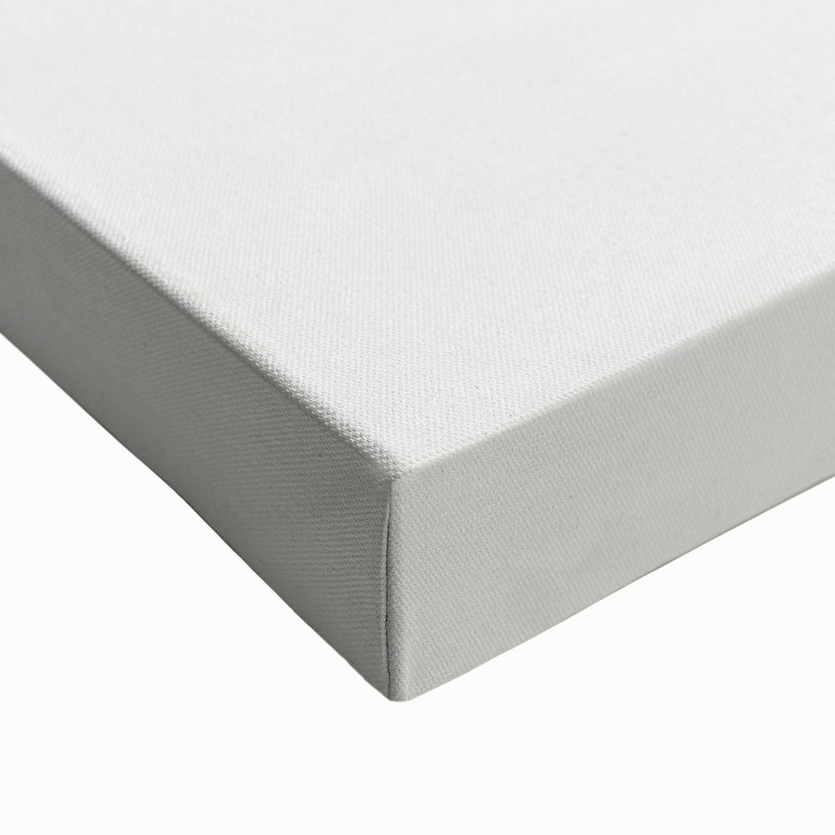 Romanticism Art: White-Headed Osprey Wildlife Illustration