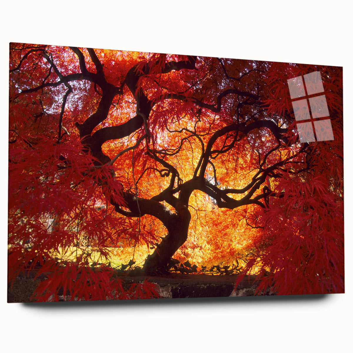 Large abstract wall art featuring vibrant hues of blue and green, printed on acrylic glass.
