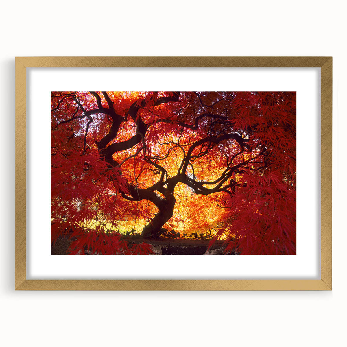 Extra large abstract art print of Connecticut scenery in gold frame, featuring textured details and earthy tones.