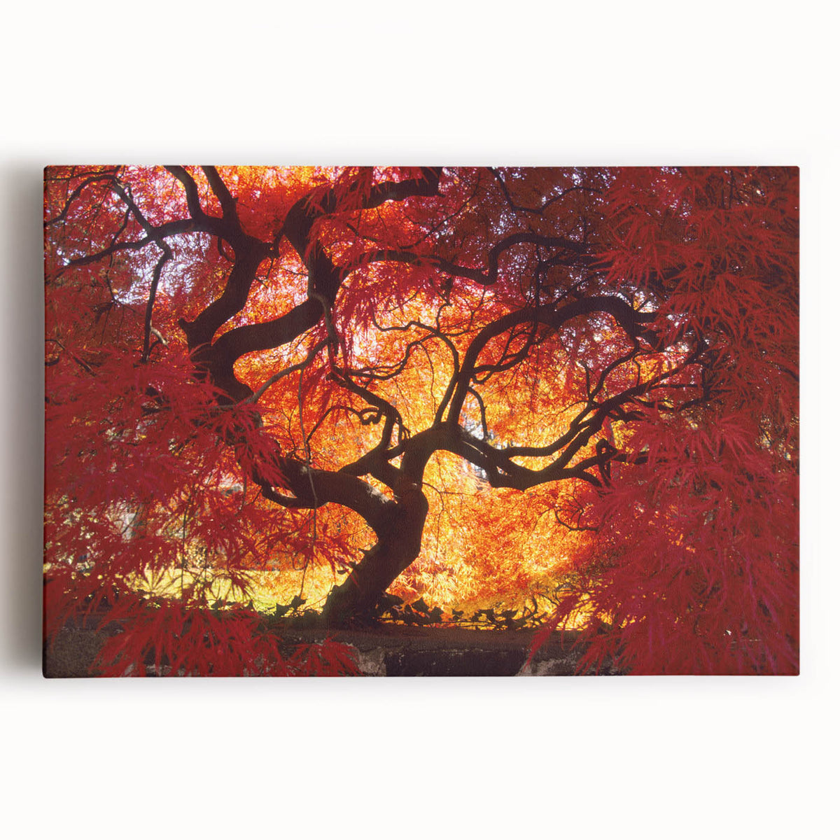 Black and white photograph of Connecticut scenery on large stretched canvas, suitable for kitchen wall art.