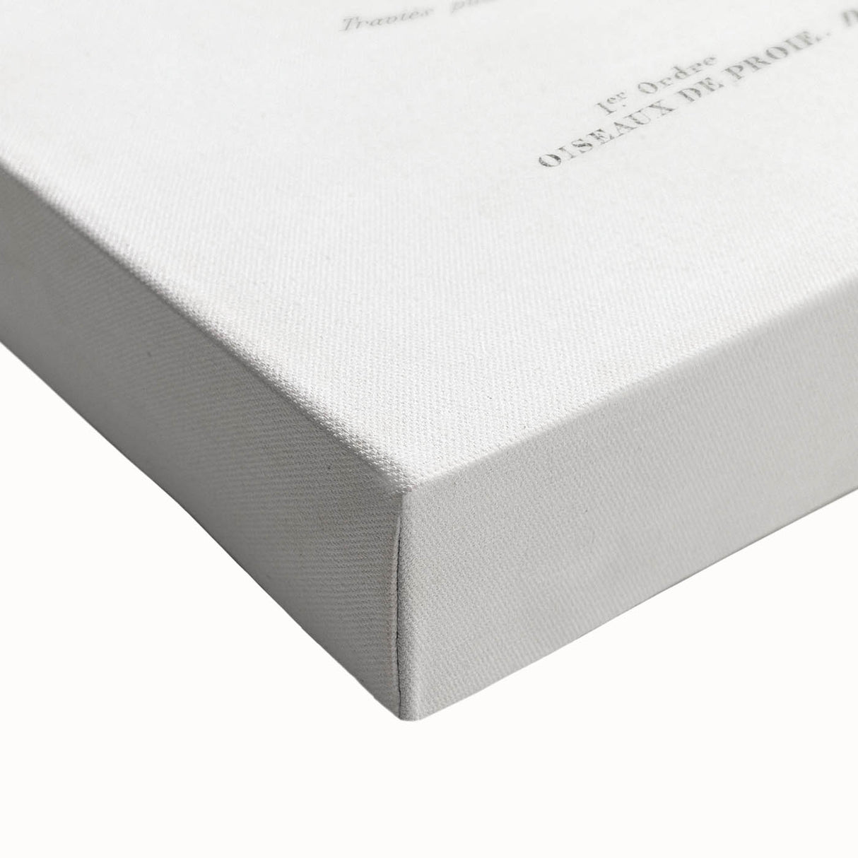 Romanticism Art: Eastern Imperial Eagle Illustration