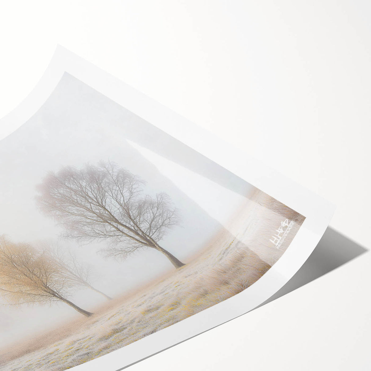 Abstract landscape rolled print showcasing vibrant colors and dynamic shapes, ideal for modern home decor. Packaged securely in a sturdy cardboard tube for safe delivery.